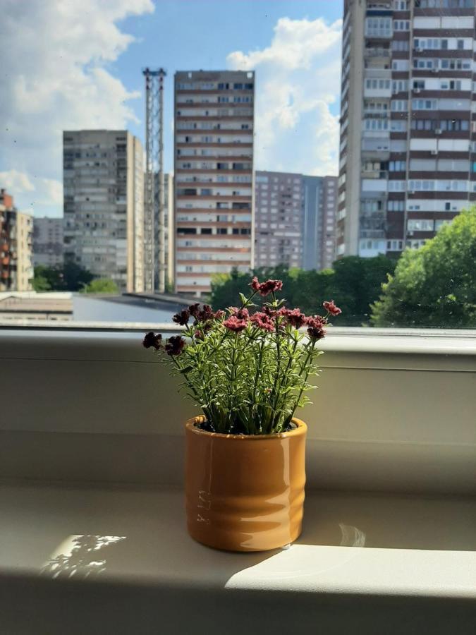 Appartement Amigi à SJJ Extérieur photo